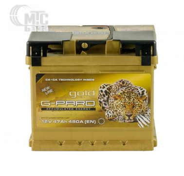 Аккумулятор G-Pard Gold TRC062-G00 [6CT-62R] EN600 А 242x175x190мм